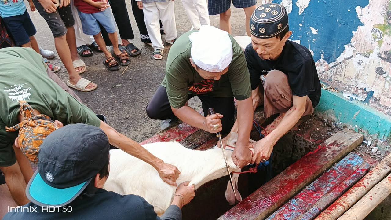 Qurban 2026